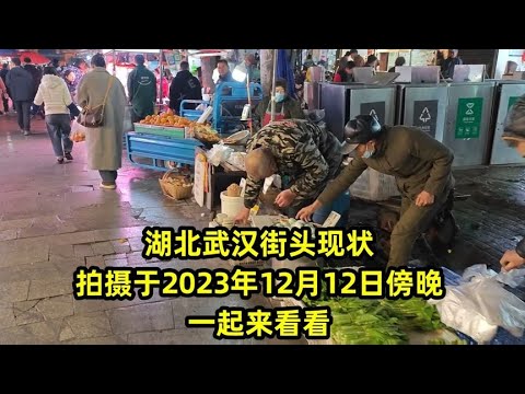 武汉最新情说：后疫情时代下的城市发展与挑战