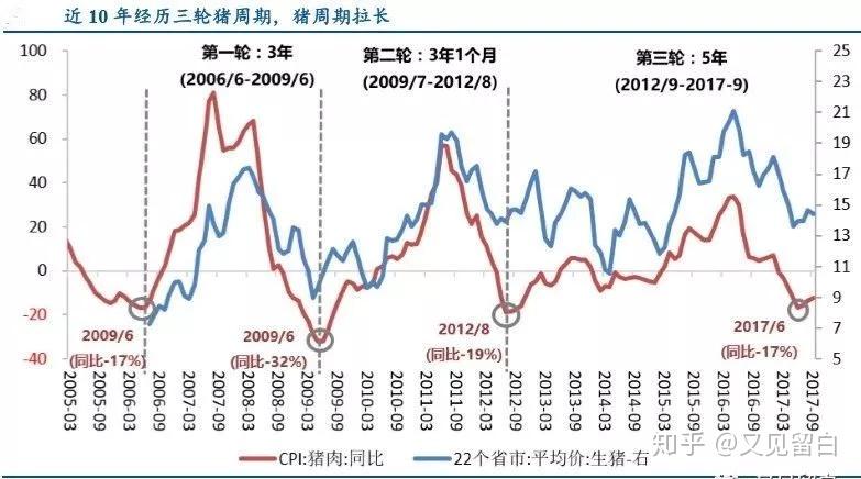 资股投资指南：调查最新猪肉股的发展趋势