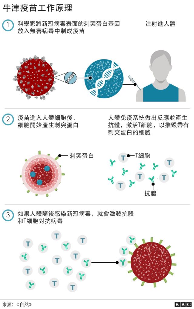 病毒最新实报：解读全球疫情动态及未来趋势