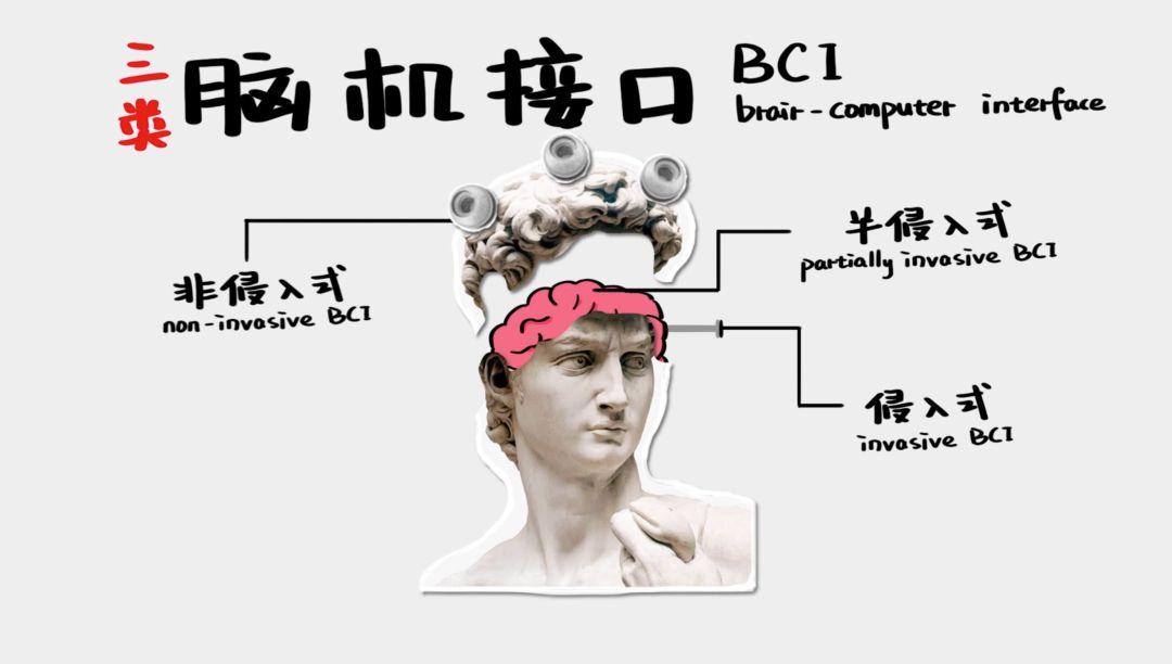 探索最新的大脑研究：神经科学的突破与未来展望