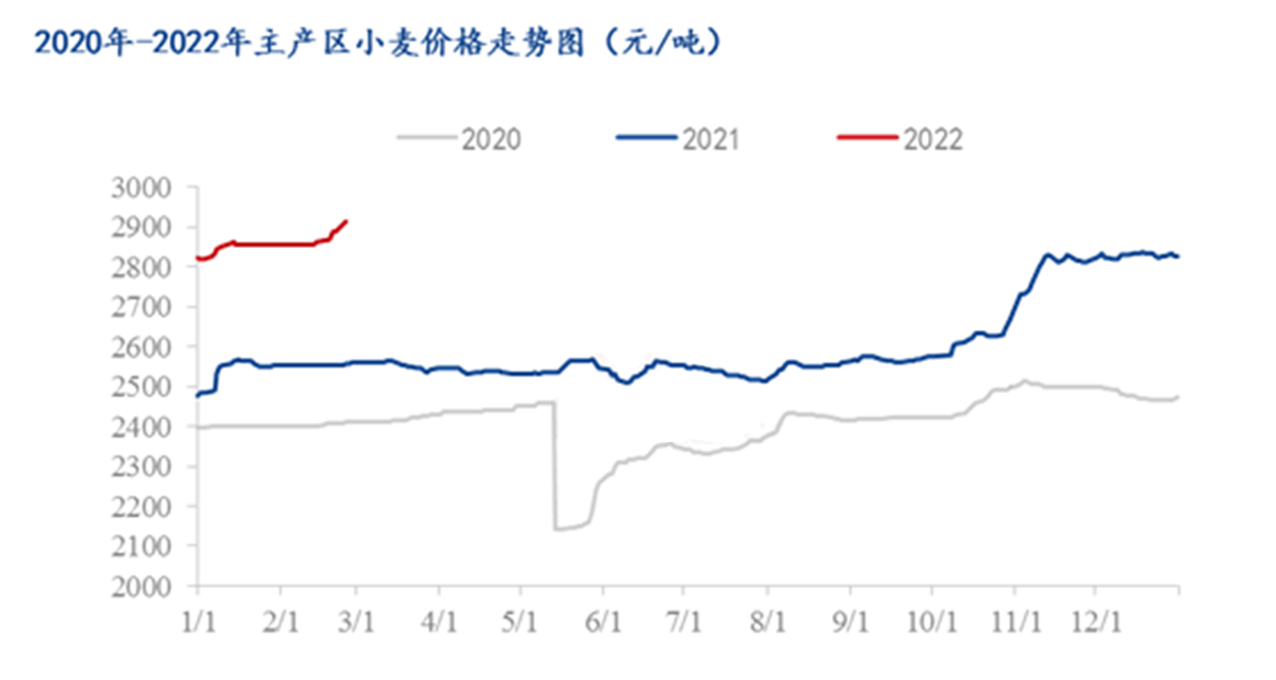 保定小麦最新价格深度解析：市场行情、影响因素及未来走势预测