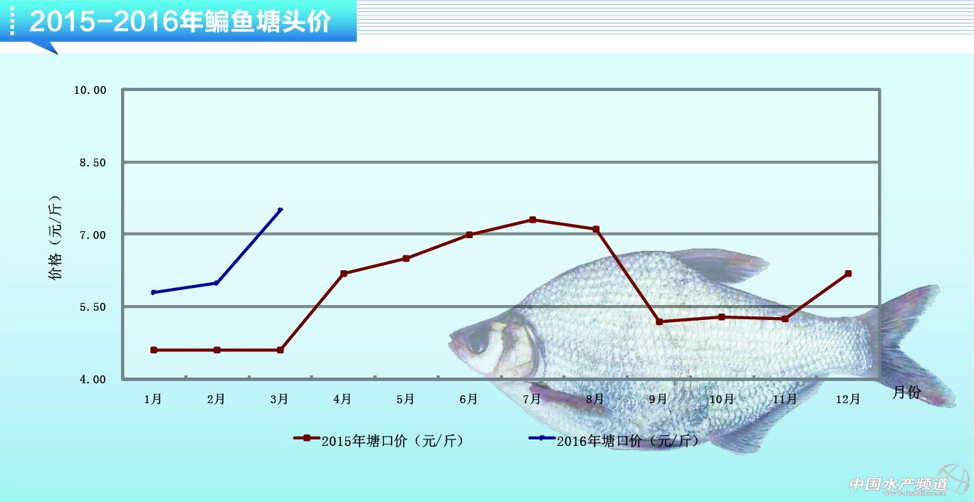 今日水产价格最新价格：多维度深度解析及未来走势预测