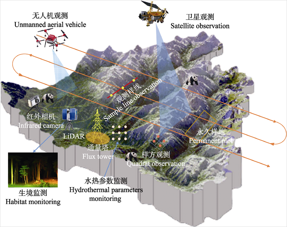 动物最新地：物种保护与生物多样性研究的最新进展与挑战