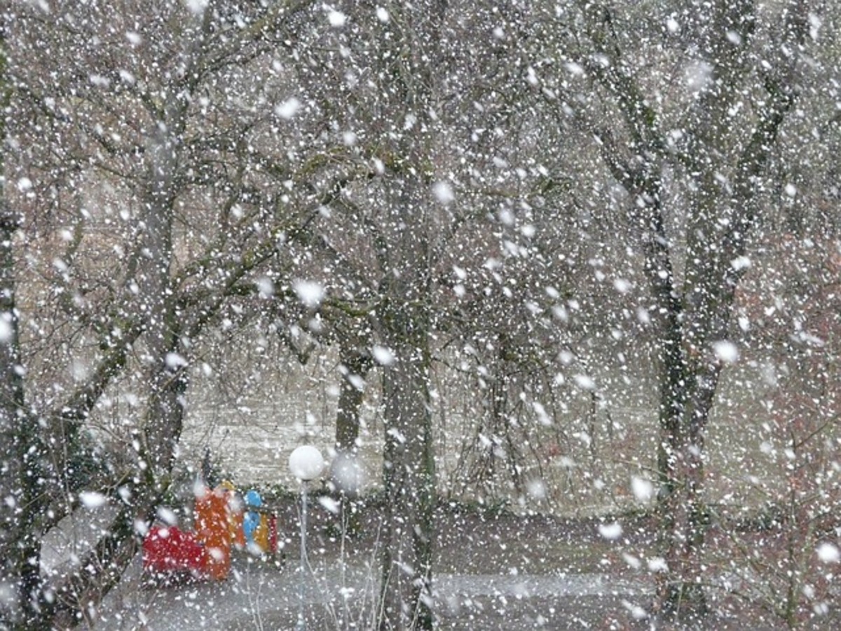 荣成下雪最新消息：赏雪指南、交通出行及安全提示