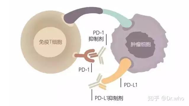 2025年1月9日 第105页