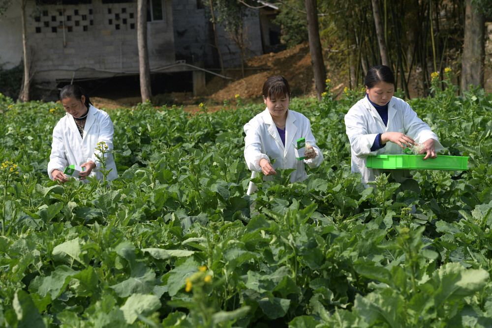 济宁降水量最新分析：历史数据、现状解读及未来预测