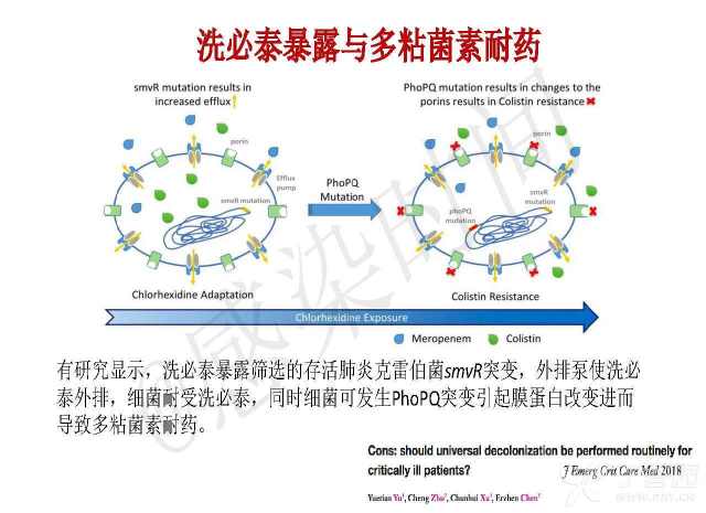 2024年最新疾病消息解读：疫情防控新形势与健康风险分析