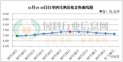 2025年1月24日 第11页