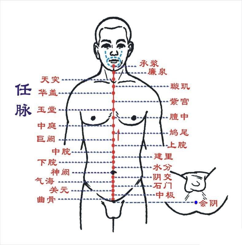 脐贴最新研究：功效、安全性及未来发展趋势