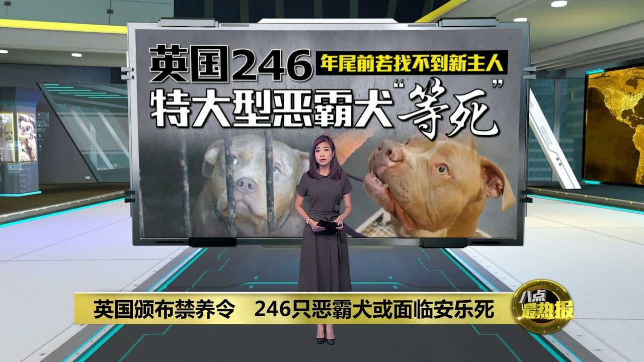 恶犬最新g：深度解析与未来趋势预测