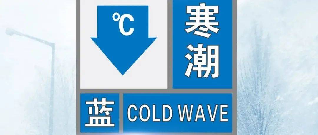 最新寒潮预警：强冷空气来袭，如何应对极寒天气？