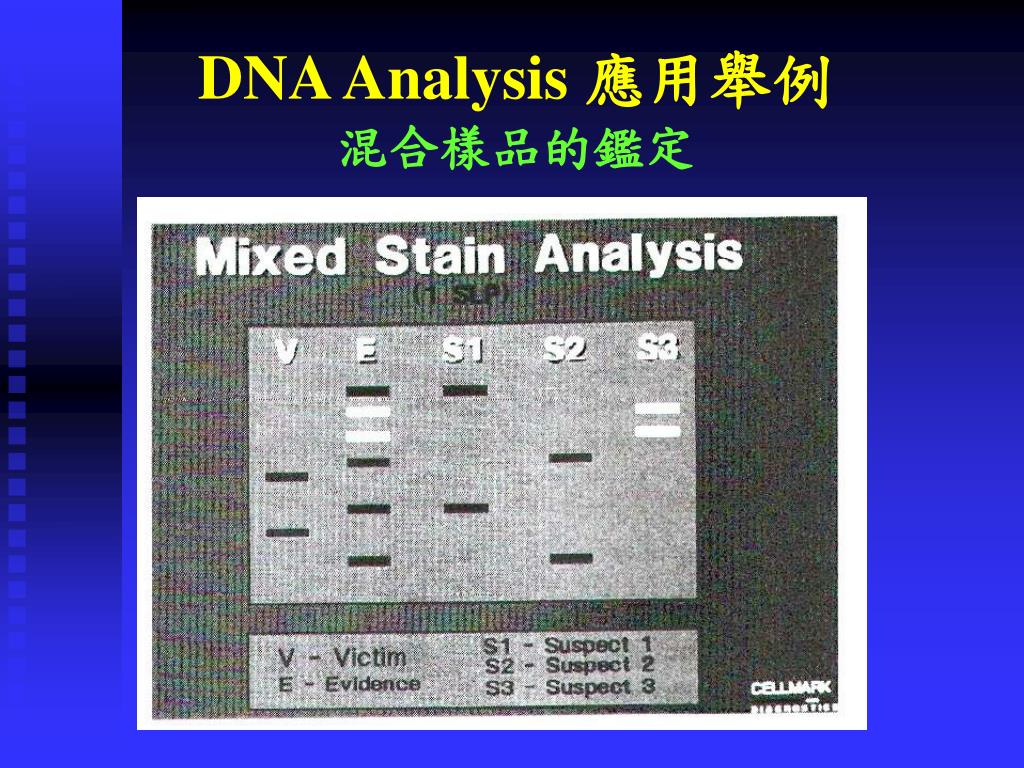 尸检最新结果深度解析：技术革新、案例分析及未来展望