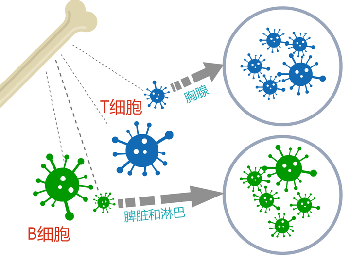 病毒最新查询：实时追踪病毒信息，解读疫情防控策略与未来趋势