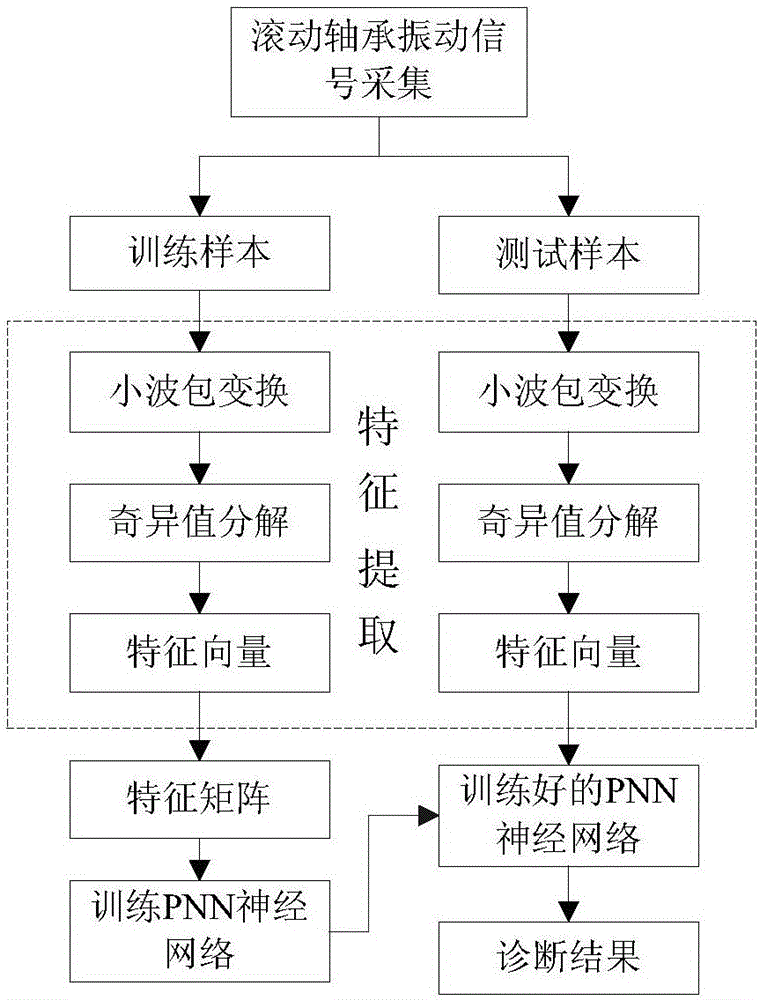 解码‘最新的病’：新发传染病的挑战与应对