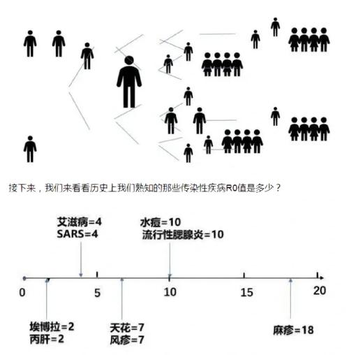 探析最新的反应：多维度解读及未来趋势预测