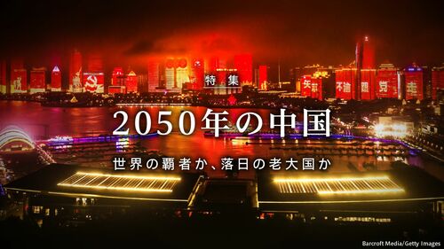 杨磊最新动态：全方位解读其作品、活动及未来发展趋势