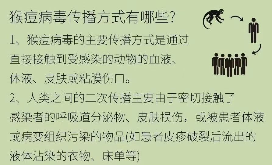 深入解析：美国最新疾病疫情现状及未来挑战