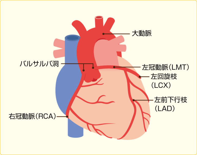 冠心病最新图解读：影像技术进步与临床应用现状分析