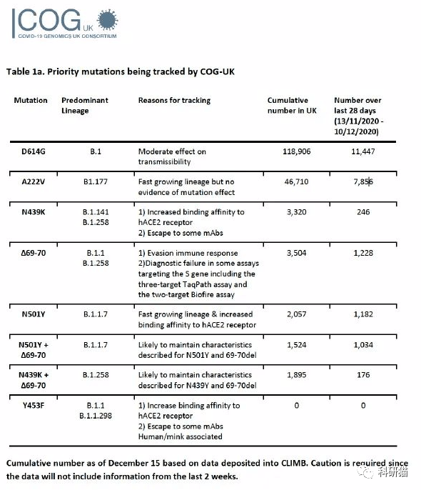 英冠最新赛况：升级形势分析及球队表现深度解读