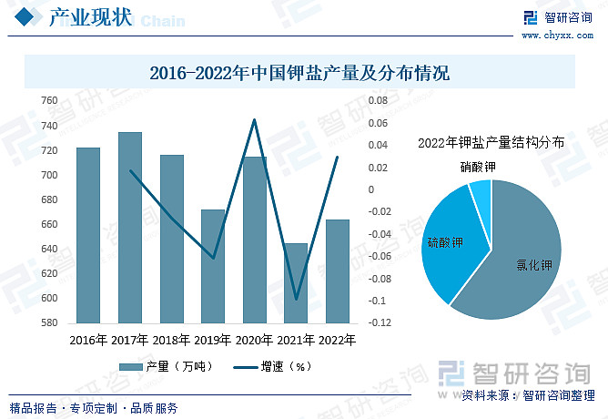 盐的最新情况：价格波动、市场趋势及未来发展预测