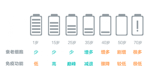 探秘最新的激活：技术革新与未来趋势深度解析