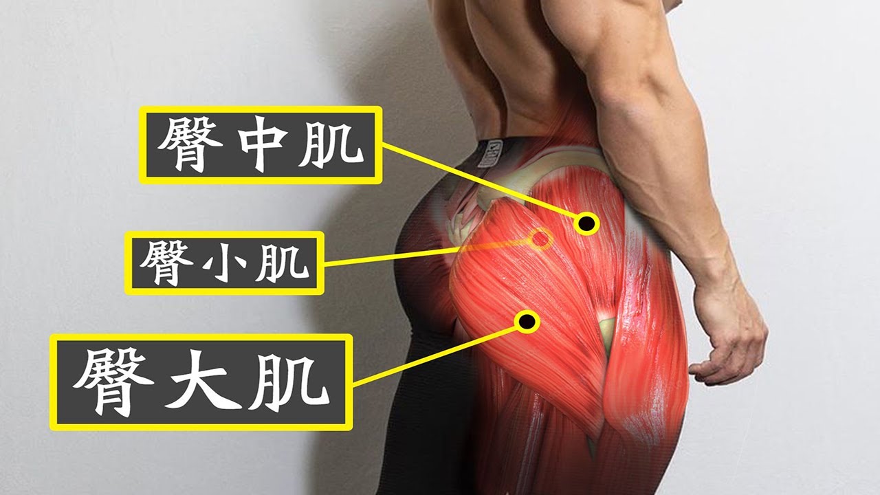 探秘最新臀疗手法：塑形美臀的革新技术与未来趋势