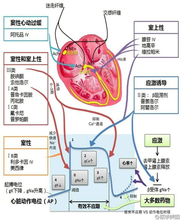 最新抵压力药的研发趋势和使用卡花