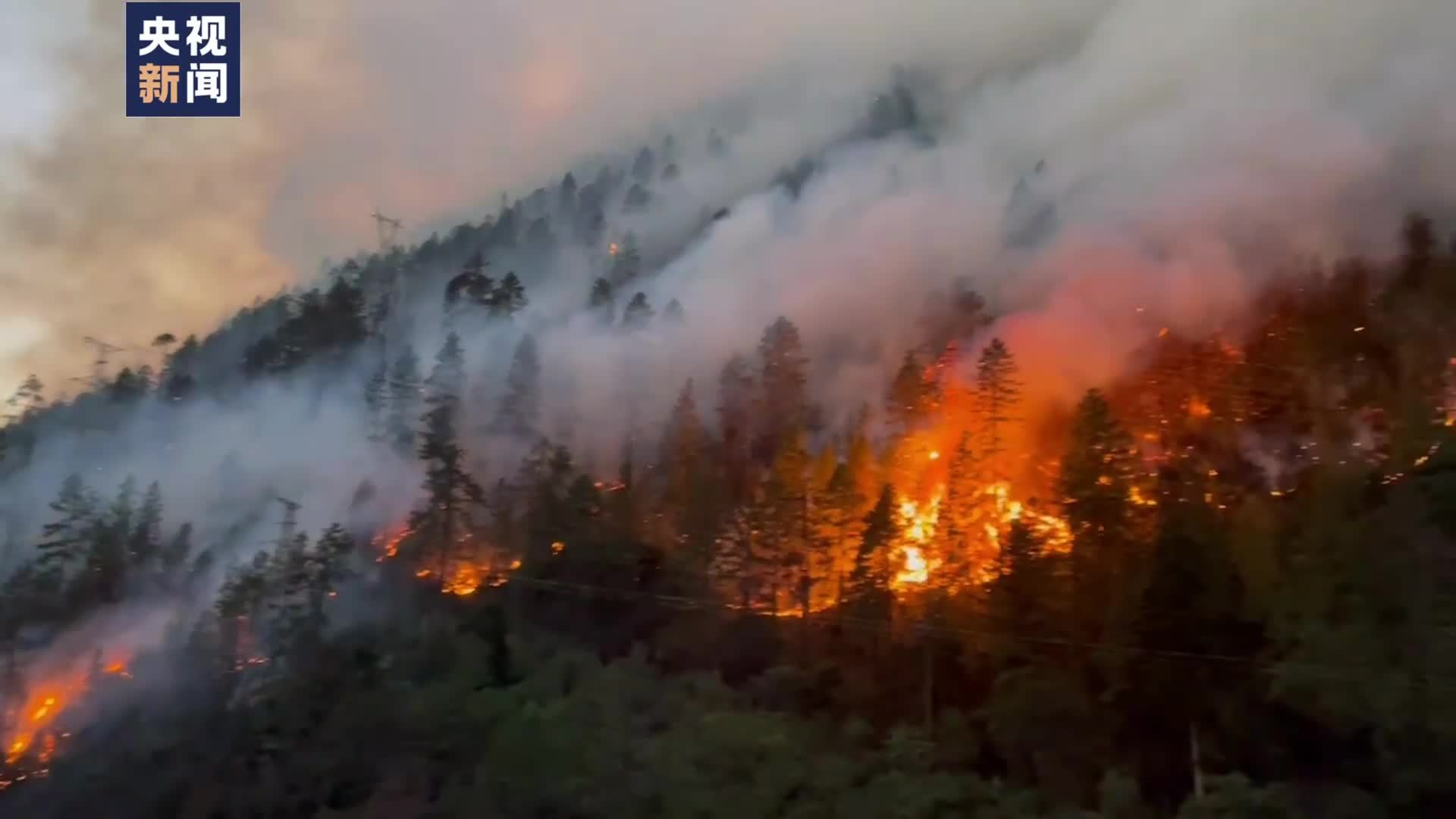 聚焦全球：最新山火事件频发，探析成因及应对策略