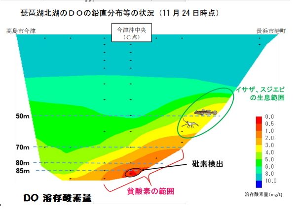 济南天桥北湖最新消息：生态修复、环境提升及周边发展规划