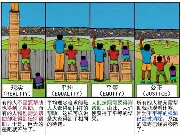 深度解读：最新点票数据背后的趋势与挑战