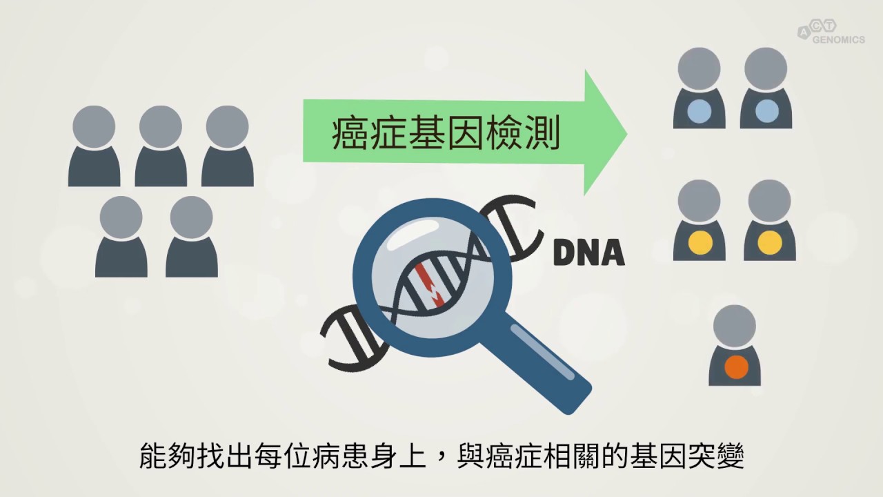 解码最新心型病毒：传播途径、潜在风险及未来防控策略