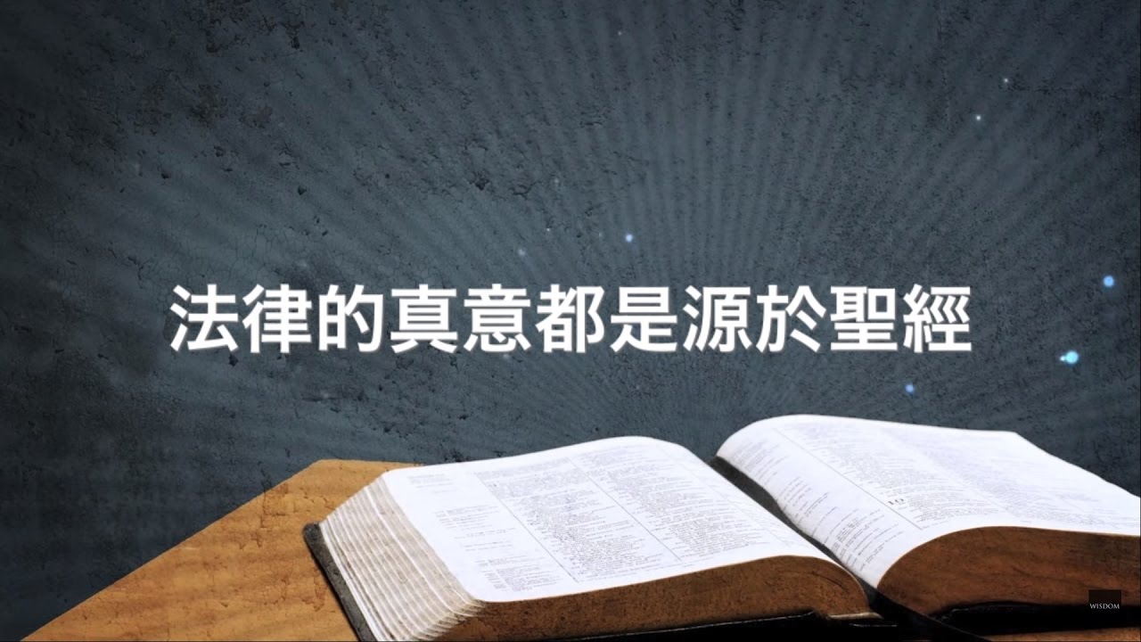 菏磯最新杀人事件分析：从事件背景到社会影响