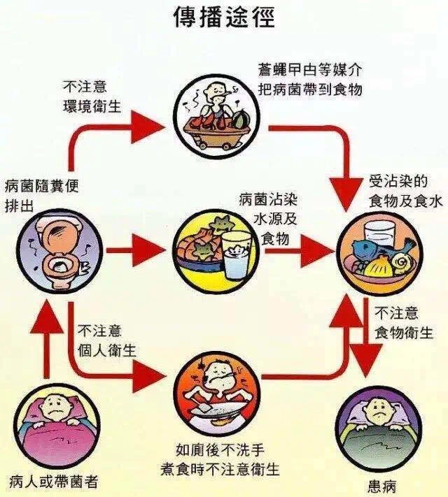 滨海最新肺炎疫情分析：传播途径、防控措施及未来挑战