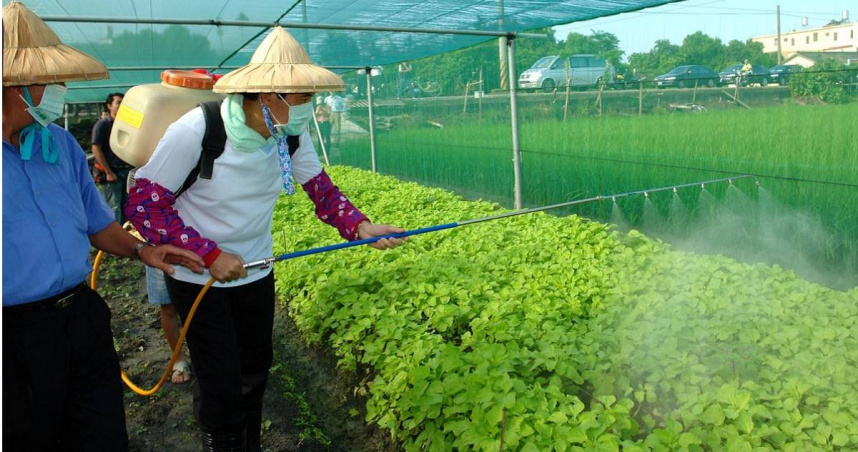 最新打草药技术及应用：高效除草与可持续发展