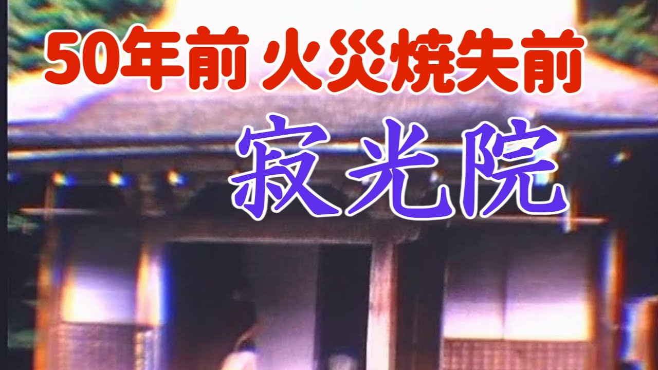 聊城最新火灾事件深度分析：起因、影响及未来预防措施