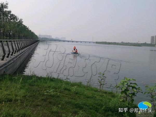 最新扬阳发布：深入分析池场现状和未来发展趋势