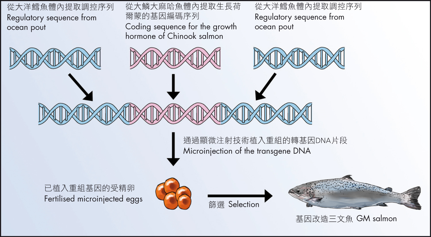 长生生物最新消息深度解读：疫苗安全、公司现状及未来发展趋势