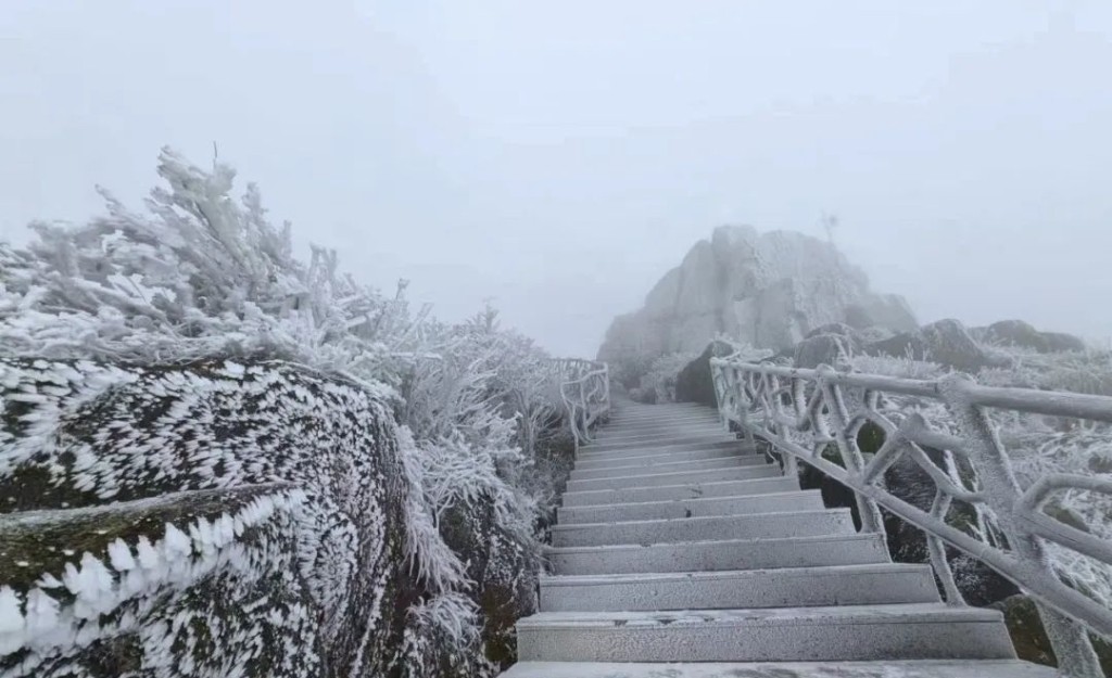 晴雪最新动态：深度解析角色发展与剧情走向，探讨其文化影响与未来趋势