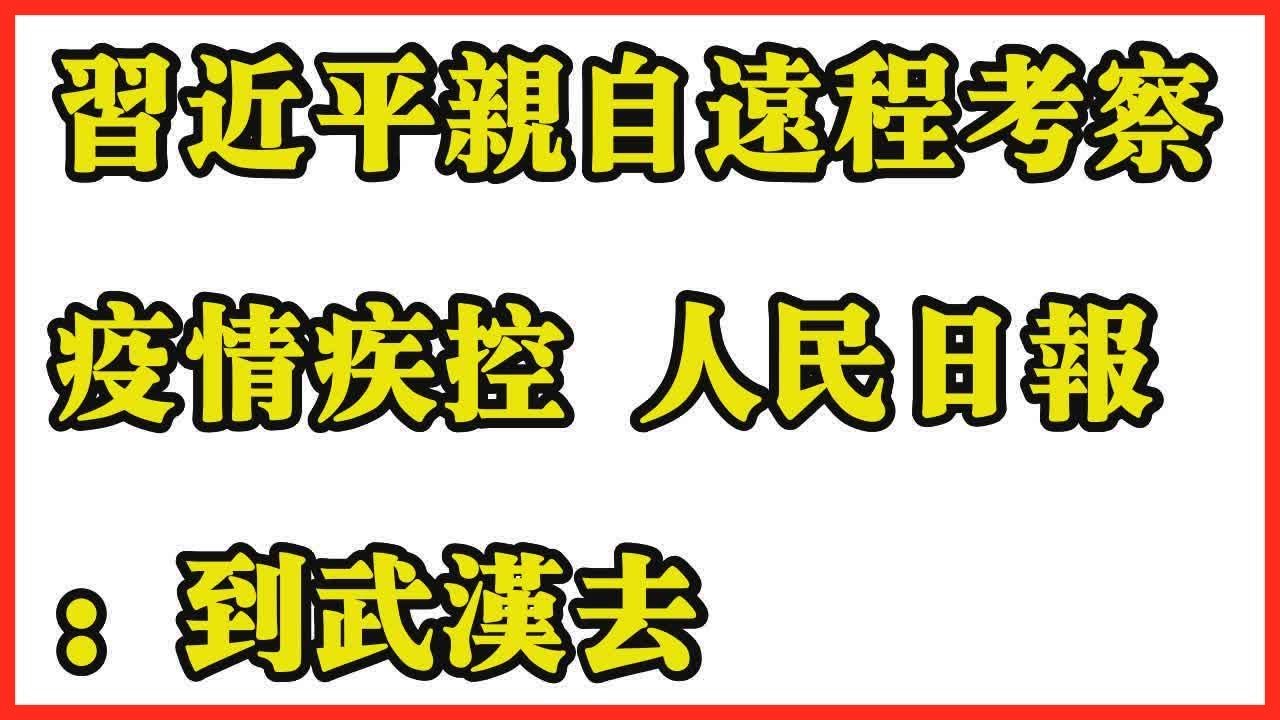 去疾最新动态：政策解读、技术革新与未来展望