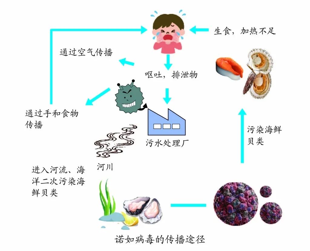 彰武最新病毒疫情：深度解析病毒特性、传播途径及防控策略