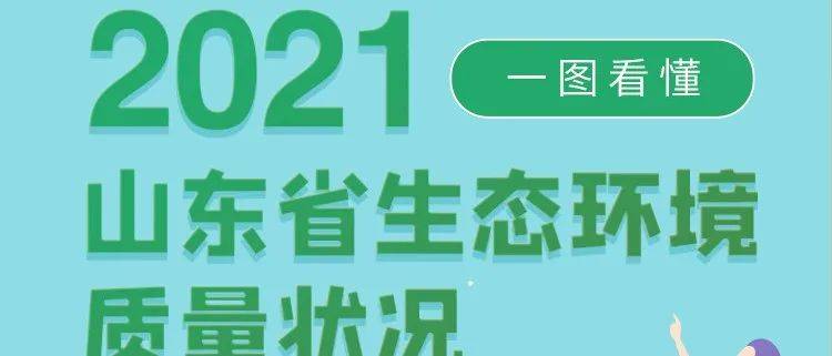 山东最新案子深度解读：案件类型、社会影响及未来趋势预测