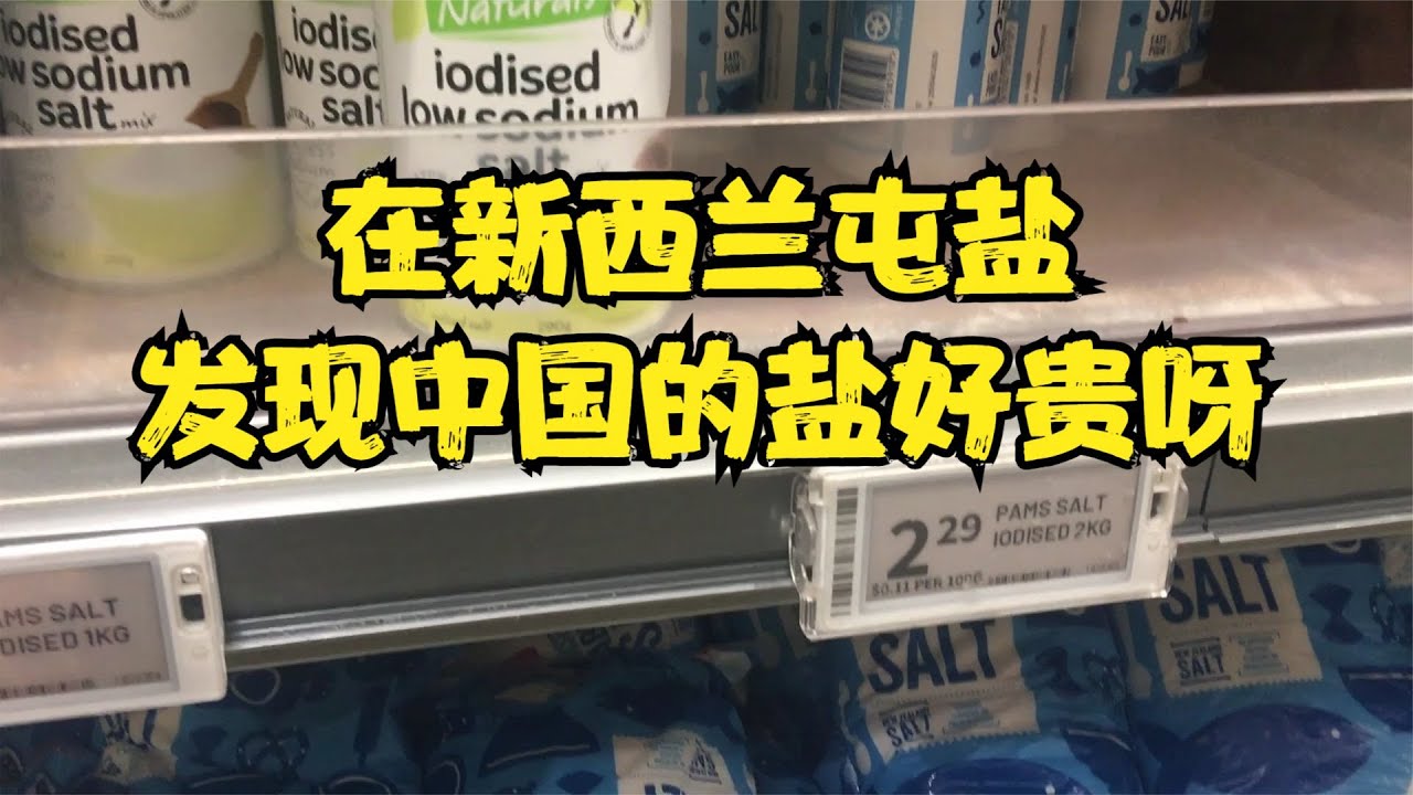 中盐红四方最新价格深度解析：市场行情、影响因素及未来走势预测