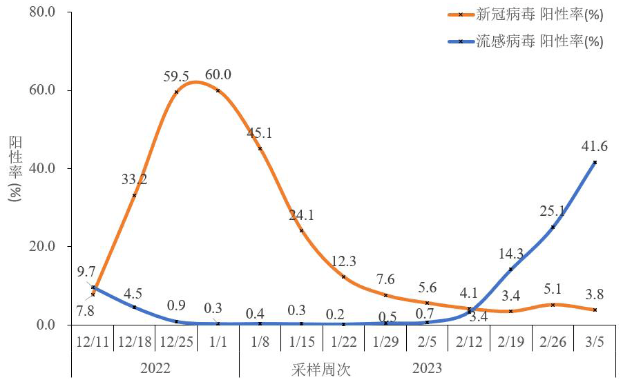 衡阳最新肺病动态：发病率、诊疗技术及未来防控策略