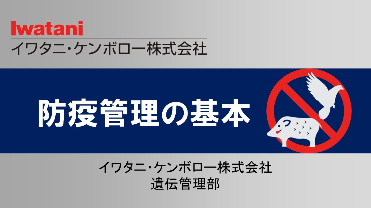 最新疫情各国调整：各国疫情展开和对疫情风险的分析