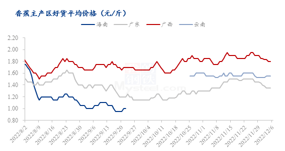 山东金乡芒松最新价格分析：市场趋势、影响因素及专家观点