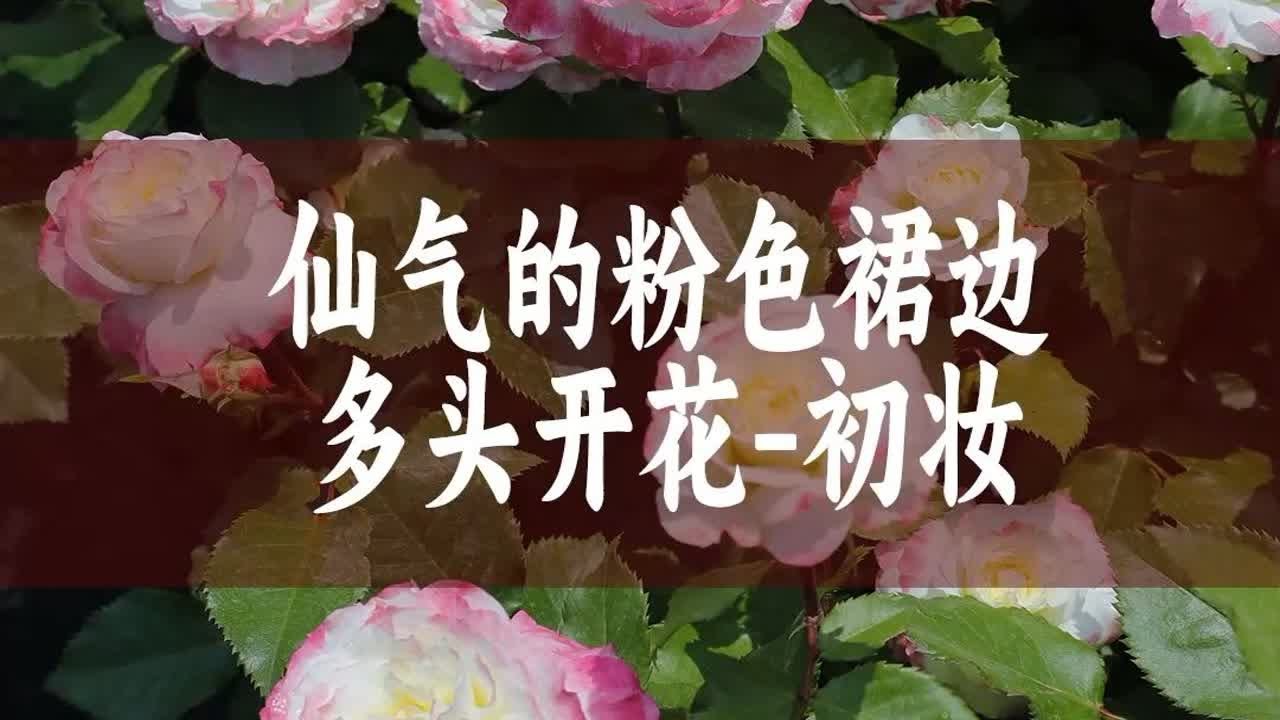 武安隨铭丰花最新房价调查：及其宏观发展趋势