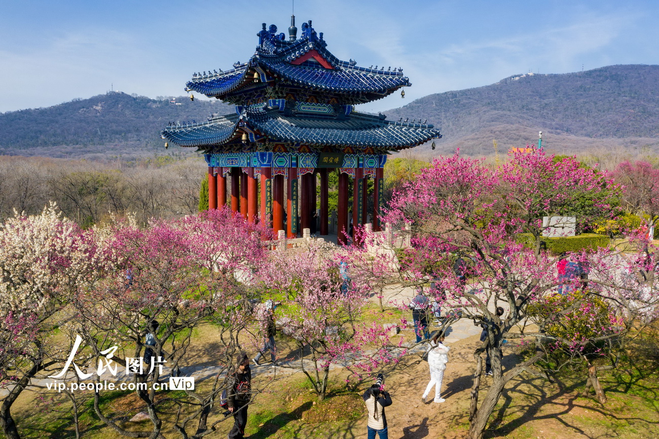 探秘南京最新景点：从网红打卡地到历史文化名胜的全新体验