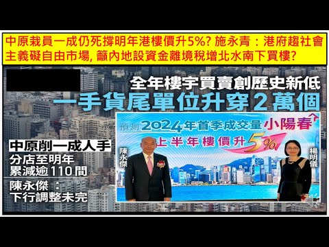 新乡常青藤最新消息：发展现状、未来规划及潜在挑战深度解析