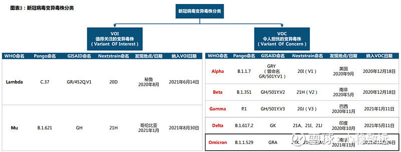 解读最新瘟疫数据：全球疫情动态及未来走势预测