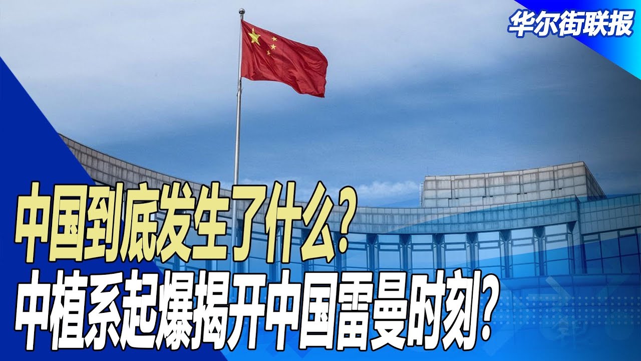 柳选植最新新闻被审查：事件始末、影响分析及未来走向